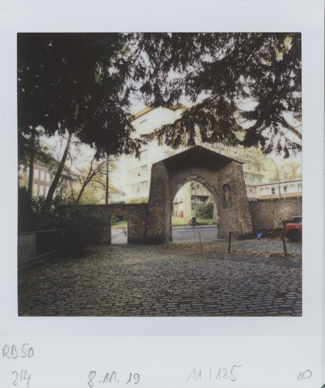 ../jpgother/fisq_08.11.2019_2_4.jpg