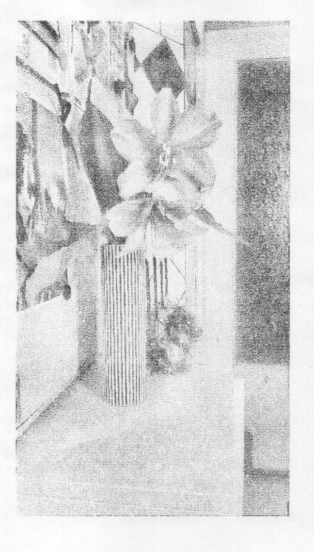 ../jpgother/uleway_kid_instant_camera_img20231210_15153562a.jpg